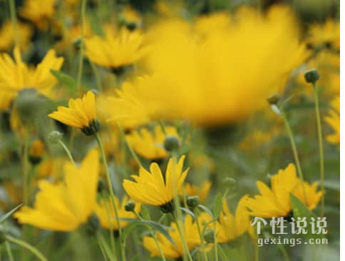 深入人心有內涵的經典說說（55條）