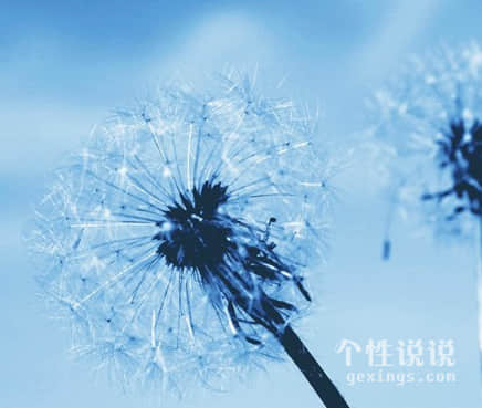 微信人生現(xiàn)實(shí)的經(jīng)典說說（50條）