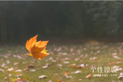 充滿文藝氣息有哲理的經(jīng)典說說（71條）