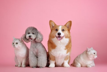 句句透徹精致人生的經(jīng)典說(shuō)說(shuō)（50句）