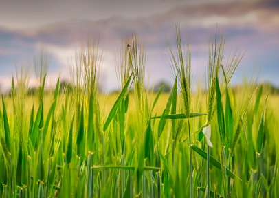 適合發(fā)抖音的情感語錄經(jīng)典(57句) 適合發(fā)抖音的情感語錄經(jīng)典(57句)