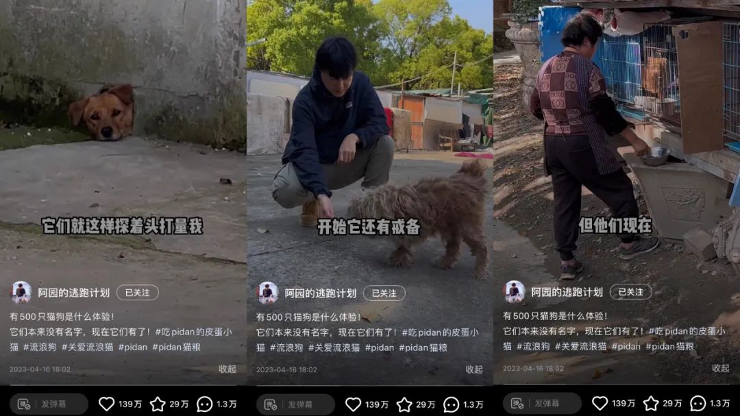 兩條廣告點(diǎn)贊破100萬(wàn)，他是2023年的爆款制造機