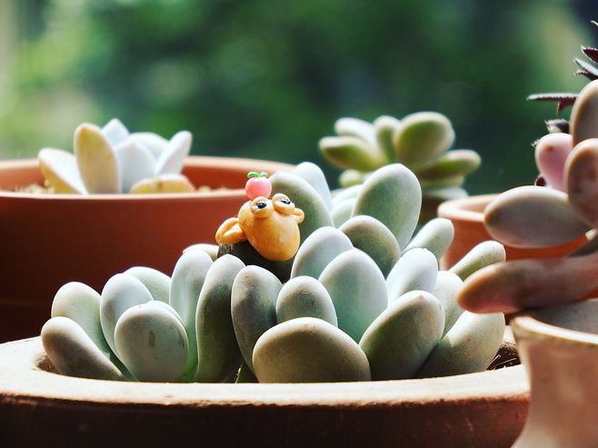 經(jīng)典說說 愛你的人教你溫柔，恨你的人教你謹慎