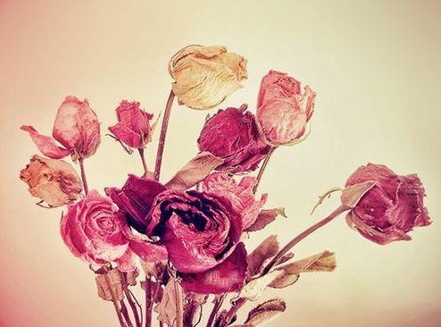 抖音最火的個性簽名  終于遇見你