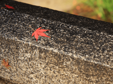 疼得死去活來(lái)的傷感說(shuō)說(shuō)大全 讀完淚如雨下