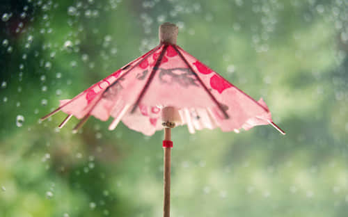 適合發(fā)朋友圈的最新傷感說(shuō)說(shuō)配圖（79條）