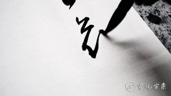 書(shū)法教程基礎知識