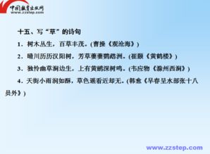 基礎知識積累與運用教案