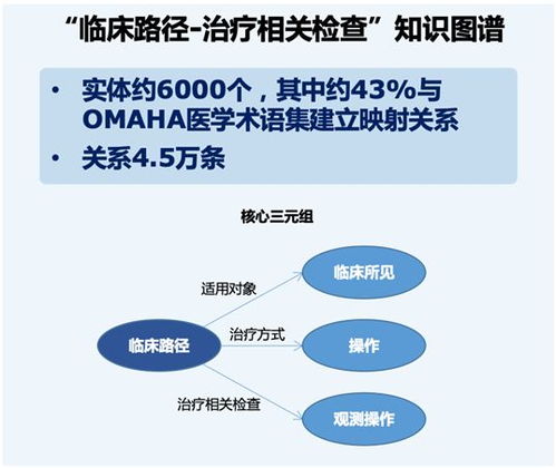 臨床路徑的基礎知識