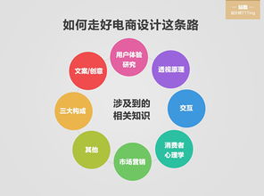 電商基礎知識學(xué)的到啥