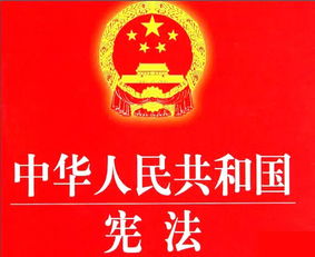 人民警察崗位基礎(chǔ)知識(shí),人民警察基礎(chǔ)知識(shí)題庫,人民警察法基礎(chǔ)知識(shí)考點(diǎn)