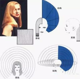 美發(fā)技師基礎知識