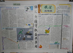 稅法,基礎(chǔ)知識,手抄報