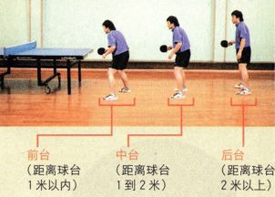 乒乓,基礎知識