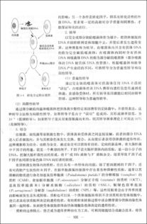 水微生物學(xué)基礎知識