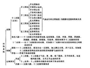 中醫基礎知識脈象