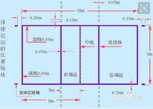 排球基礎知識演講稿