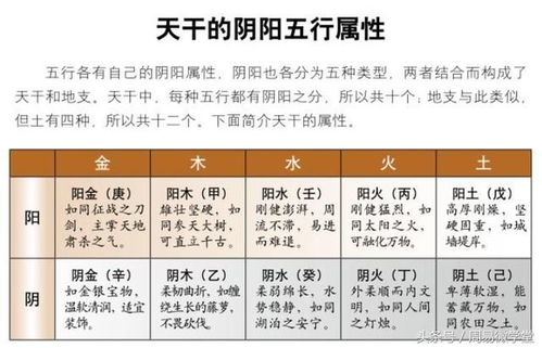 天干地支與五行(八字入門(mén)基礎(chǔ)知識(shí))