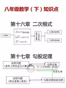 基礎知識,初中數學(xué),整理,最新