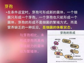 衛(wèi)生學(xué)及微生物基礎(chǔ)知識(shí)培訓(xùn)