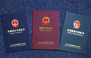 國家專(zhuān)利申請基礎知識3
