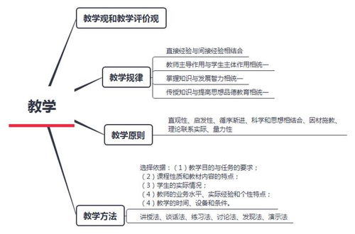歸納,基礎知識,分析題,案例