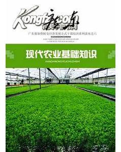 農業(yè)基礎知識百度云