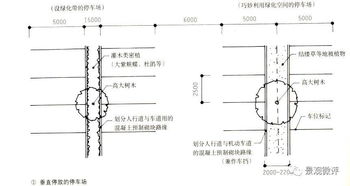 園林基礎知識題庫,園林基礎知識考試,園林造價(jià)基礎知識