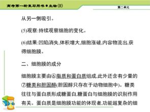 高中淘寶基礎知識