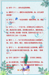 打基礎,小學(xué),知識