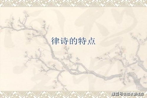 七律基礎(chǔ)知識(shí)