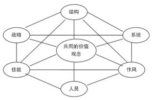 市場(chǎng)營(yíng)銷(xiāo)的基礎理論知識