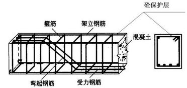 手把手教你鋼筋基礎知識