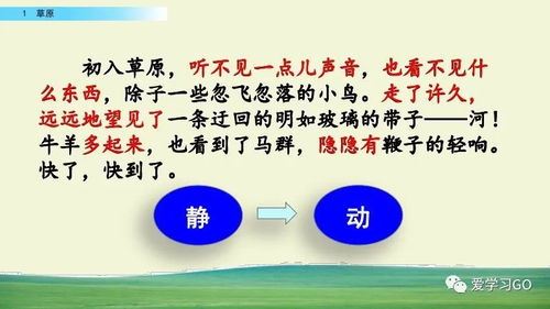 體育與健康基礎(chǔ)知識(shí)微課,口風(fēng)琴的基礎(chǔ)知識(shí),樂譜基礎(chǔ)知識(shí)口風(fēng)琴