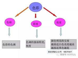 美發(fā)染發(fā)基礎知識軟件