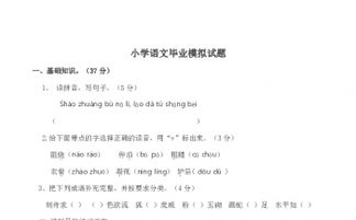 小學(xué)畢業(yè)語(yǔ)文基礎知識試卷