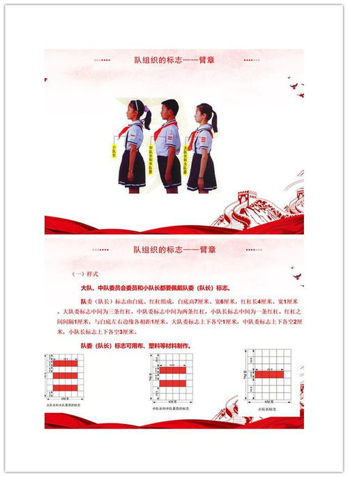 小學(xué)少先隊員基礎知識