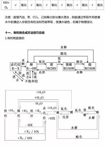 有機化學基礎知識的重難點