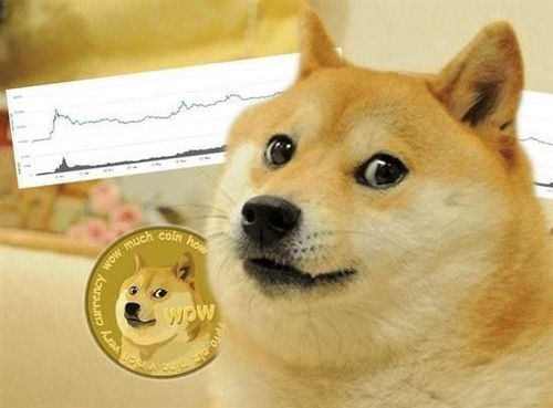 狗狗幣基礎知識