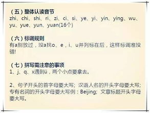 小學(xué)語(yǔ)文基礎知識能力提高