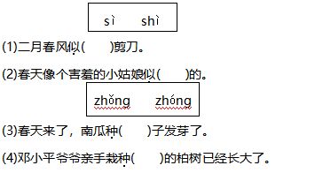 基礎知識,訓練