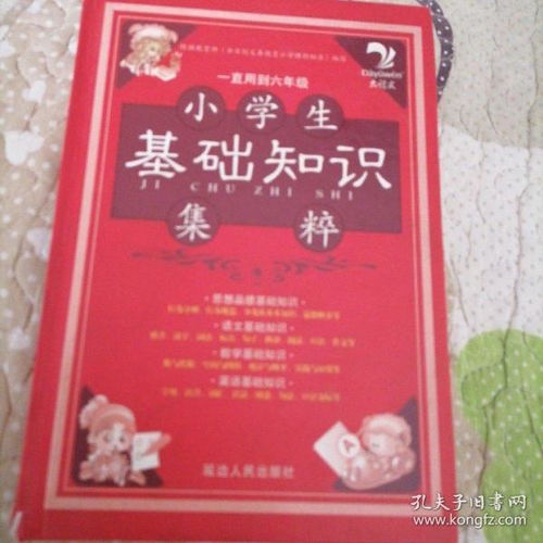 小學(xué)生隊員基礎知識