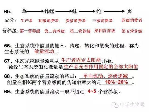 高一生物必修1基礎(chǔ)知識測試題