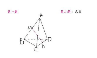 立體幾何入門(mén)基礎知識