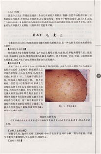 皮膚美容科學(xué)基礎(chǔ)知識