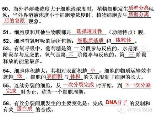 高中必修二第一單元基礎知識jiance