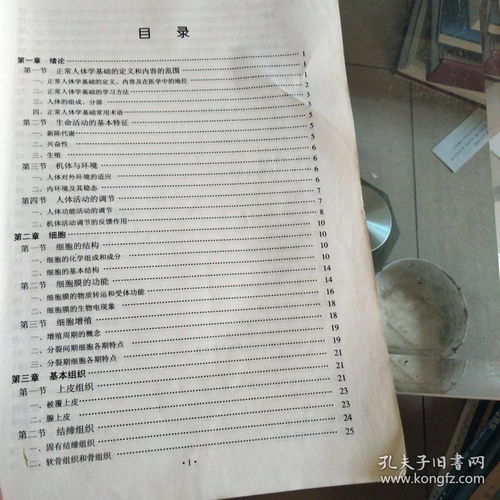 知識點(diǎn),人體,基礎