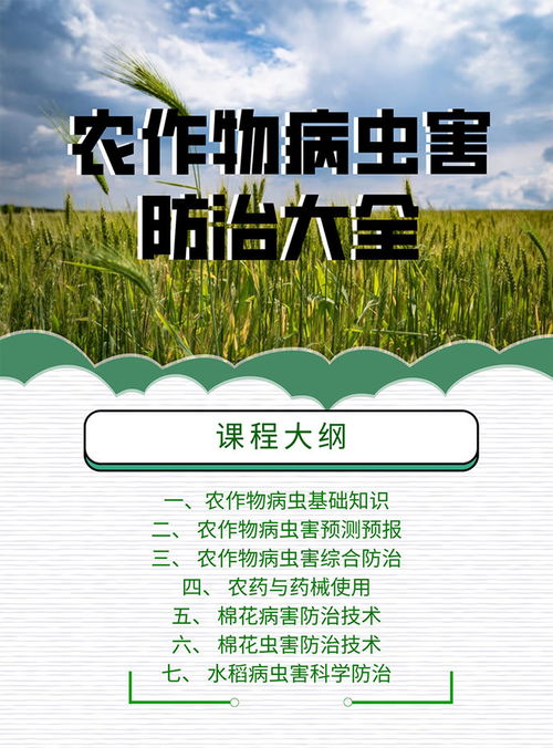 作物病蟲(chóng)害基礎知識