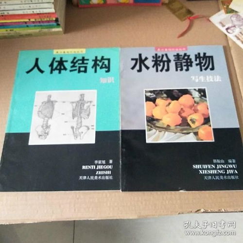 美術(shù)基礎知識書(shū)