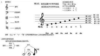 音樂(lè )基礎知識初級怎樣識譜